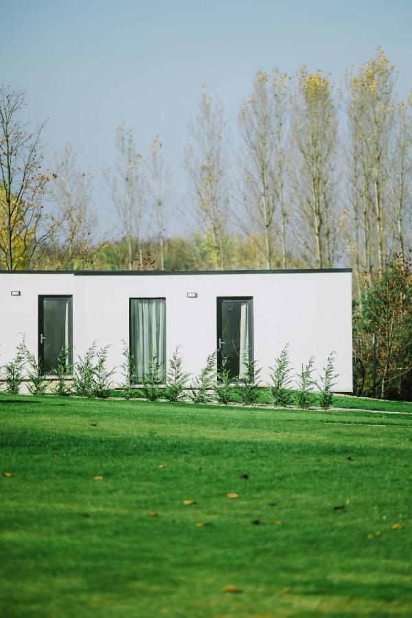 Termal Kre-Spa Sînnicolau de Munte Buitenkant foto