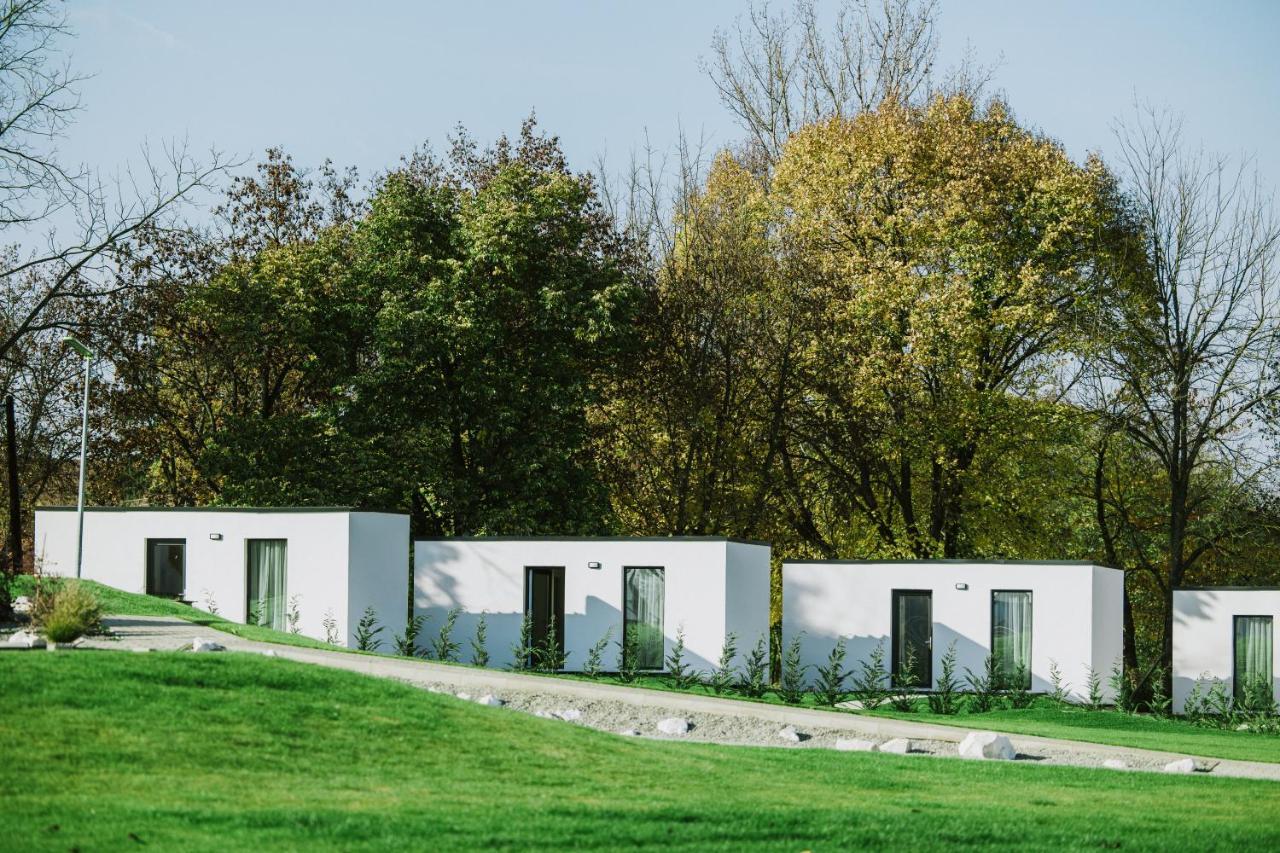 Termal Kre-Spa Sînnicolau de Munte Buitenkant foto
